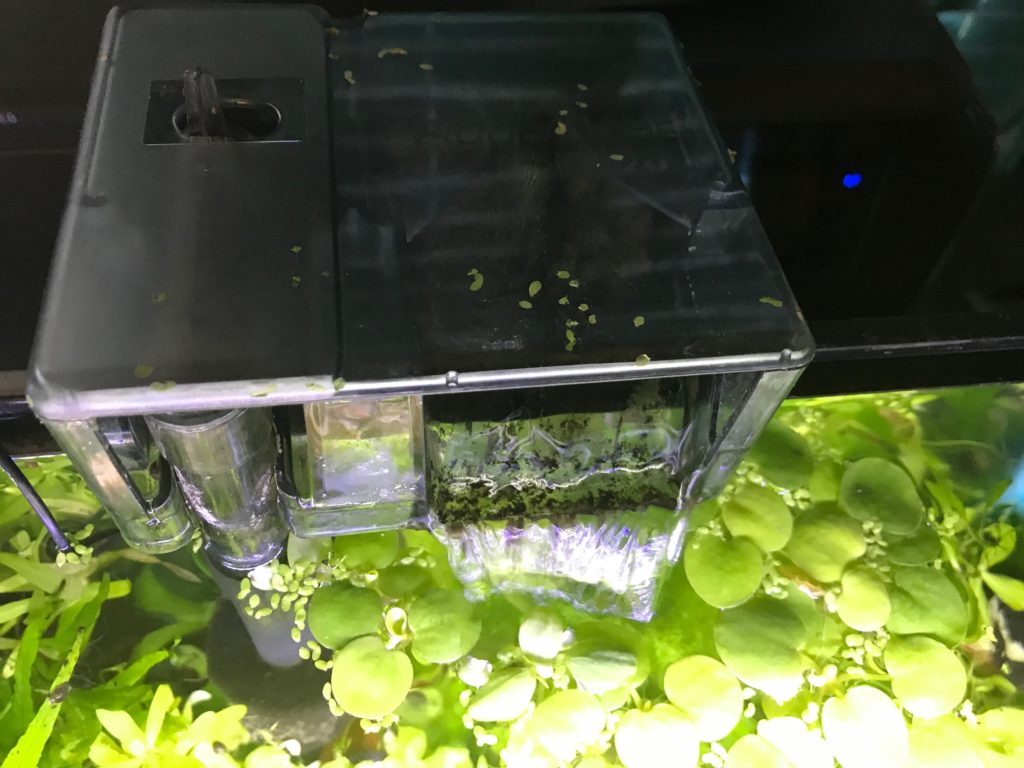 aquamacs setups